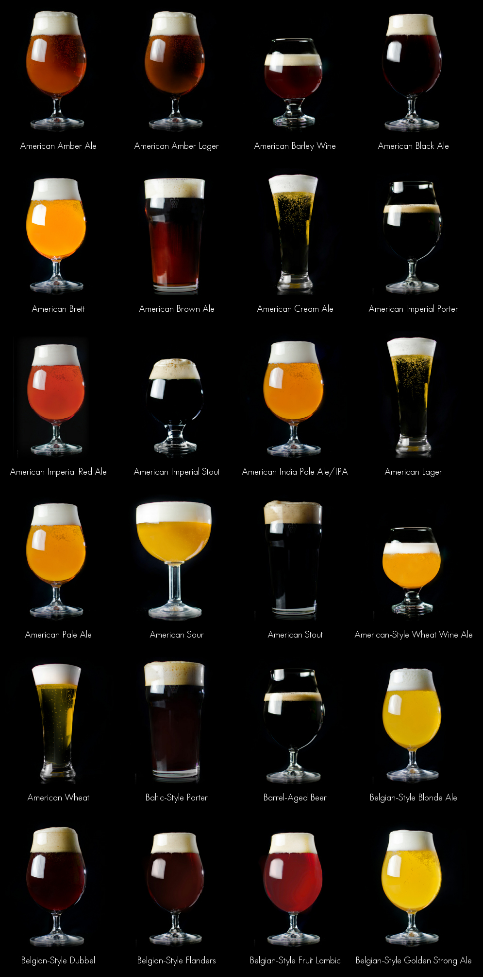 Screenshot di Beer Styles
