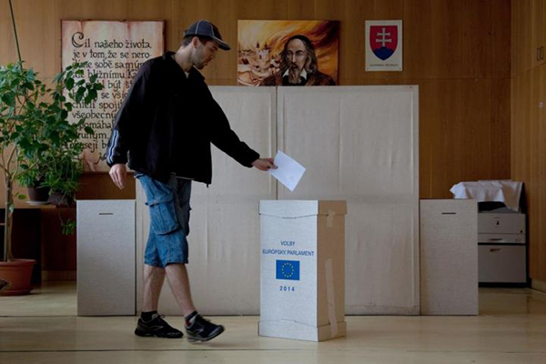 Il voto per le europee 2014