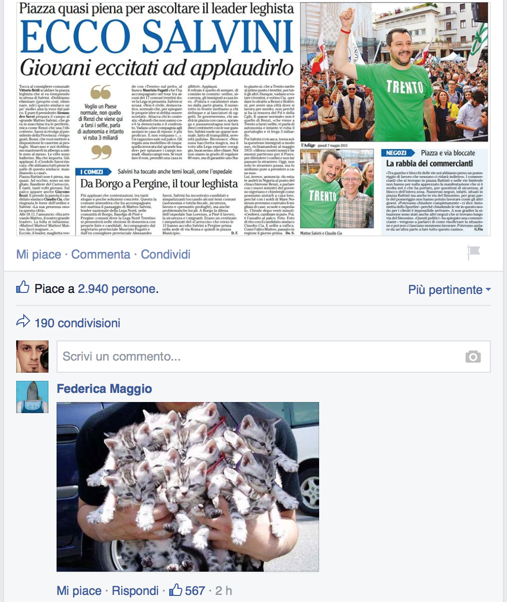 La pagina Facebook di Salvini invasa dai gattini