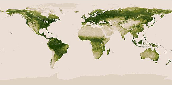La flora terrestre in una mappa