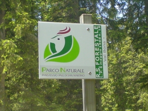 Parco Naturale del Paneveggio