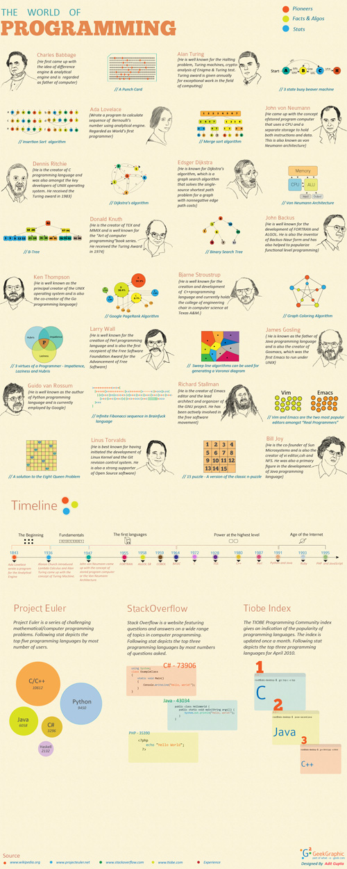L'infografica sul mondo della programmazione