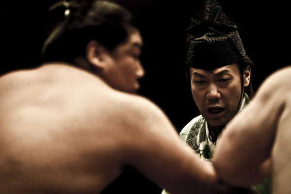Arbitro e lottatori di sumo
