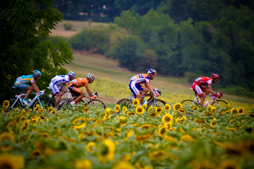 Il Tour de France e i girasoli