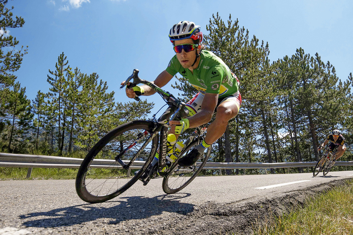 Sagan al Tour 2015