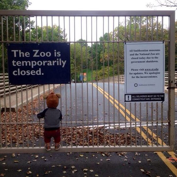 Un bambino guardo lo zoo chiuso per lo shutdown 2013
