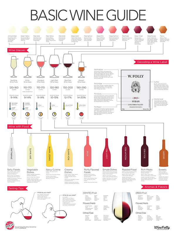 La guida al vino in infografica