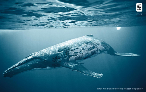 La balena ricoperta di graffiti nella pubblicità del WWF