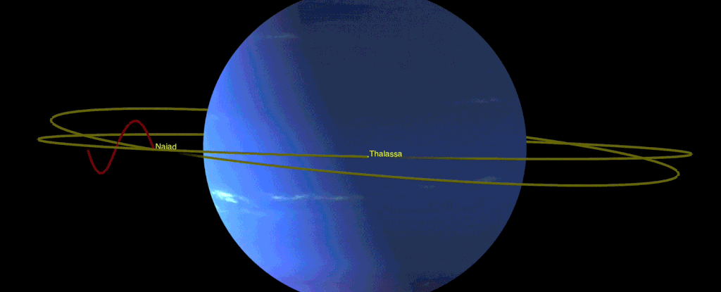 Le orbite di Naiade e Talassa attorno a Nettuno
