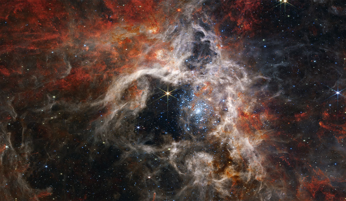 La nebulosa Tarantola fotografata dal JWST