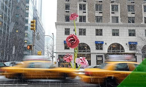 L'installazione 'The Roses' di Ryman a New York